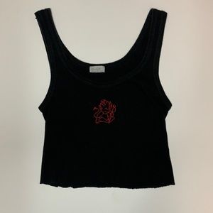 Brandy Melville Crop Top